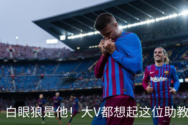 白眼狼是他！大V都想起这位助教 把鲁能告上法庭